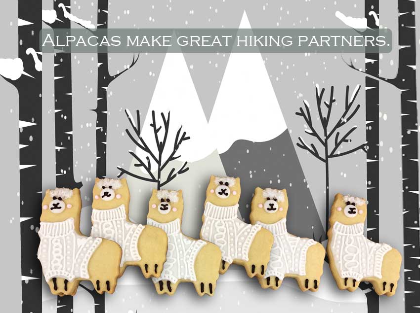 Alpaca Cookies Alpaca Cookies